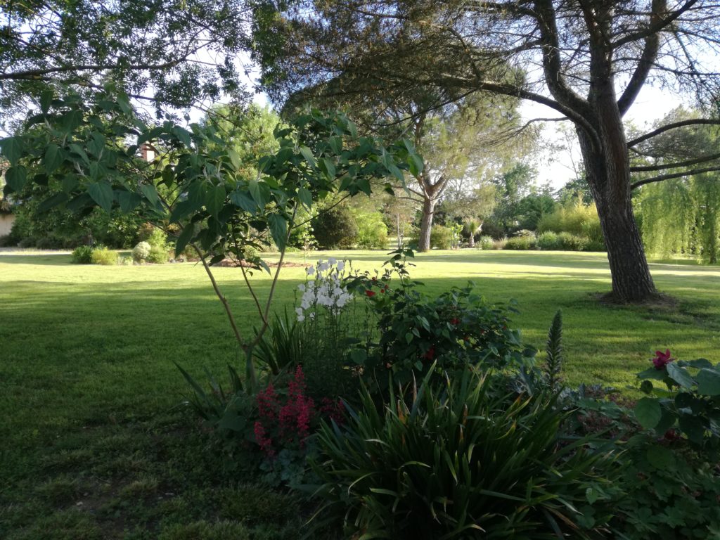 Vue sur le Parc